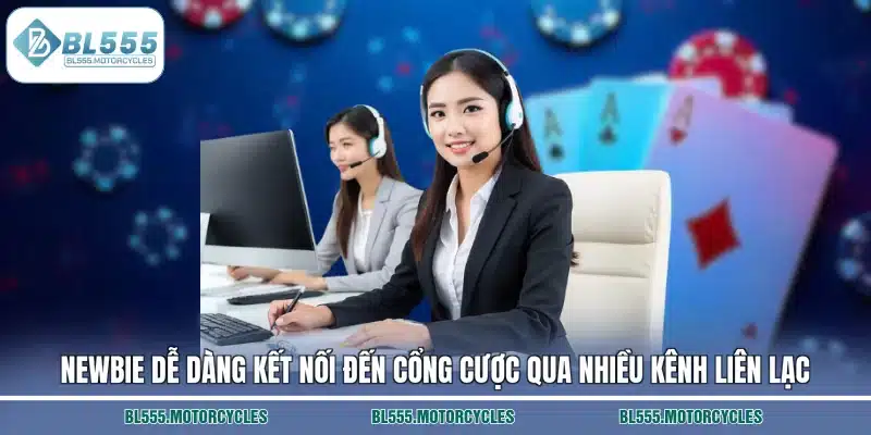 Newbie dễ dàng kết nối đến cổng cược qua nhiều kênh liên lạc