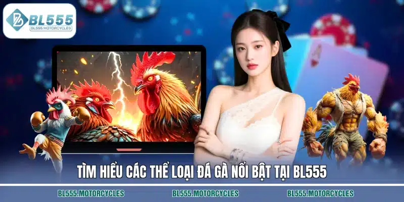 Tìm hiểu các thể loại đá gà nổi bật tại BL555